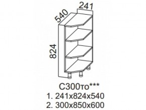 С300то Стол рабочий 300 (торцевой открытый) в Аше - asha.magazin-mebel74.ru | фото