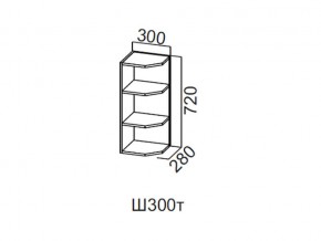 Ш300т/720 Шкаф навесной 300/720 (торцевой) в Аше - asha.magazin-mebel74.ru | фото