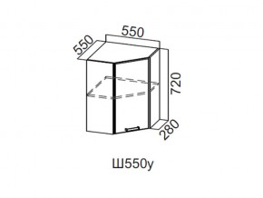 Ш550у/720 Шкаф навесной 550/720 (угловой) в Аше - asha.magazin-mebel74.ru | фото