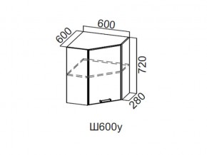 Ш600у/720 Шкаф навесной 600/720 (угловой) в Аше - asha.magazin-mebel74.ru | фото