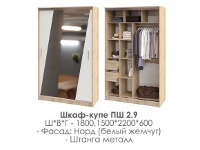 шкаф-купе ПШ-2.9 1500 Норд Белый жемчуг 1500 в Аше - asha.magazin-mebel74.ru | фото