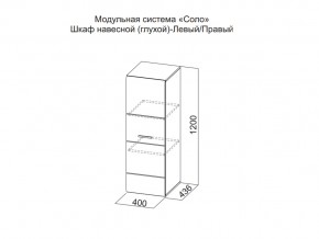 Шкаф навесной (глухой) Левый в Аше - asha.magazin-mebel74.ru | фото