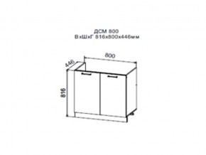 Шкаф нижний ДСМ800 под мойку в Аше - asha.magazin-mebel74.ru | фото