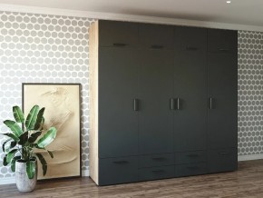 Шкаф распашной 2400К Антрацит в Аше - asha.magazin-mebel74.ru | фото