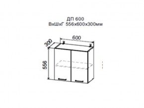 Шкаф верхний ДП600мм с 2-мя дверками в Аше - asha.magazin-mebel74.ru | фото