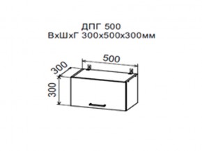 Шкаф верхний ДПГ500 горизонтальный в Аше - asha.magazin-mebel74.ru | фото