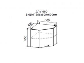 Шкаф верхний ДПУ600 угловой в Аше - asha.magazin-mebel74.ru | фото