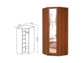 Шкаф угловой с зеркалом в Аше - asha.magazin-mebel74.ru | фото
